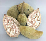 La Poudre de Baobab, Superaliment