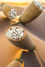 La Poudre de Baobab, Superaliment