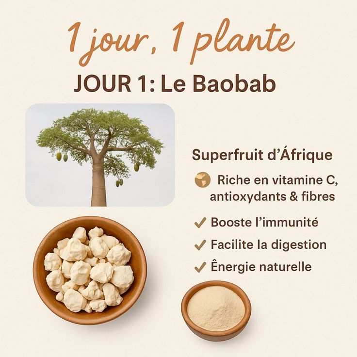 La Poudre de Baobab, Superaliment