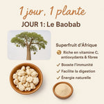 La Poudre de Baobab, Superaliment